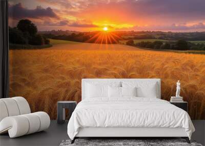 Golden wheat field bathed in warm sunset glow, showcasing nature\'s beauty and tranquility in a serene landscape Wall mural